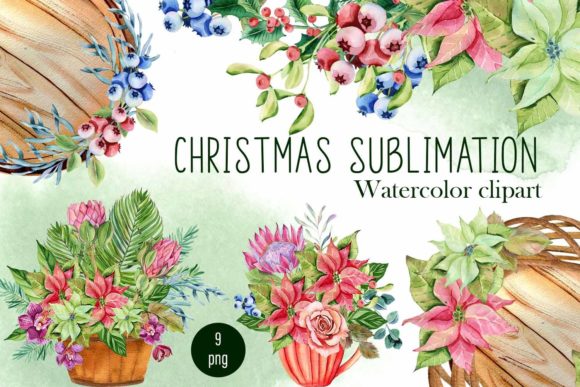 Christmas Bouquets PNG Clipart: Editorial Illustrations