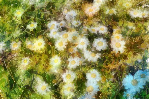 Flowers Plaintings for Christmas: Premium Illustrations