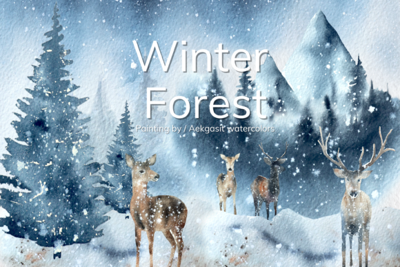 Winter Forest with Christmas Illustrations Review